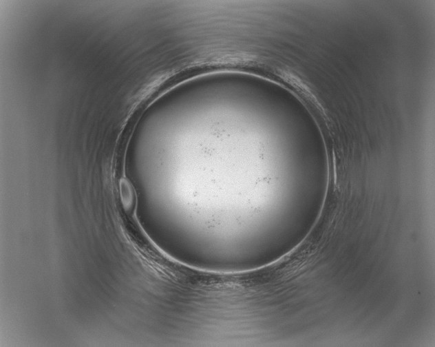 X0000056350483200509091600