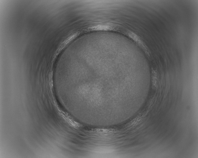 X0000056350486200509091600