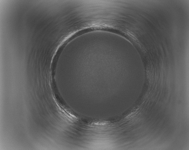 X0000056350488200509091600