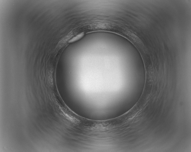 X0000056350489200509091600