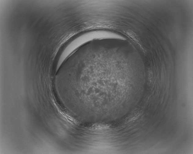 X0000056350491200509091600