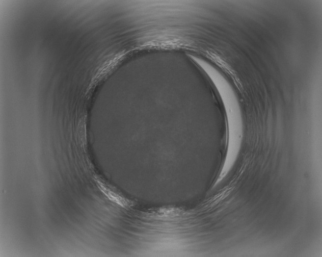 X0000056350493200509091600