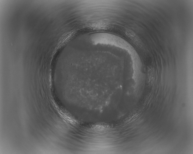 X0000056350494200509091600