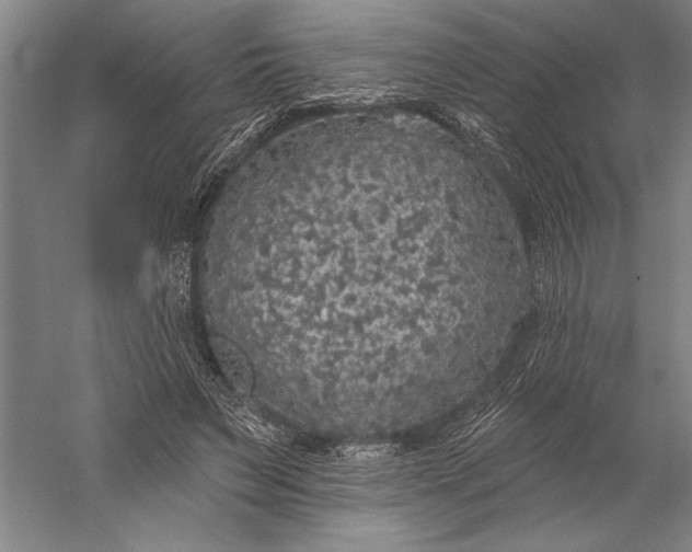 X0000056350495200509091600