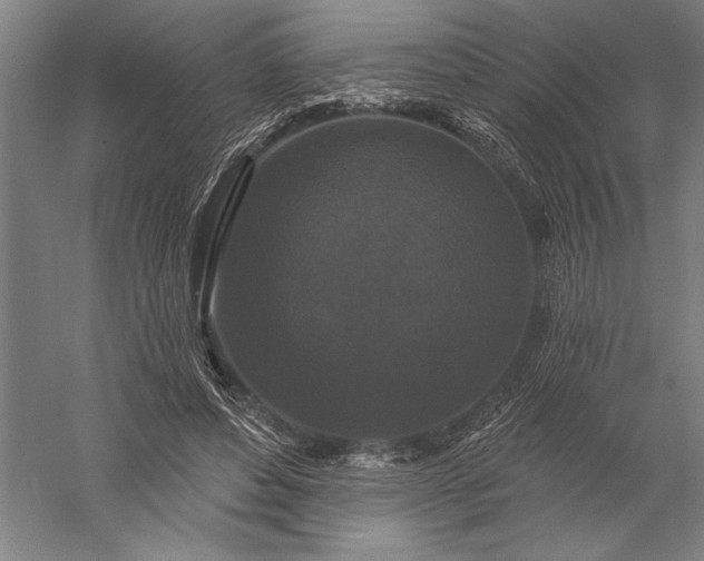 X0000056350496200509091600