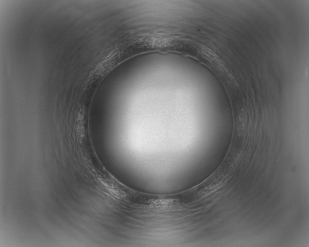 X0000056350497200509091600