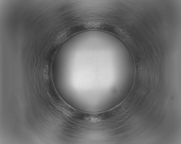 X0000056350498200509091600