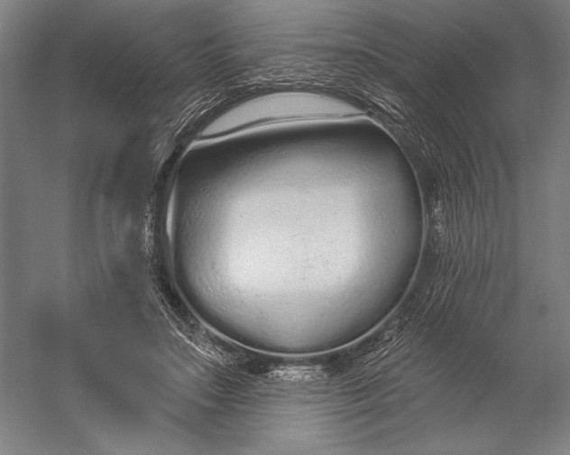 X0000056350499200509091600