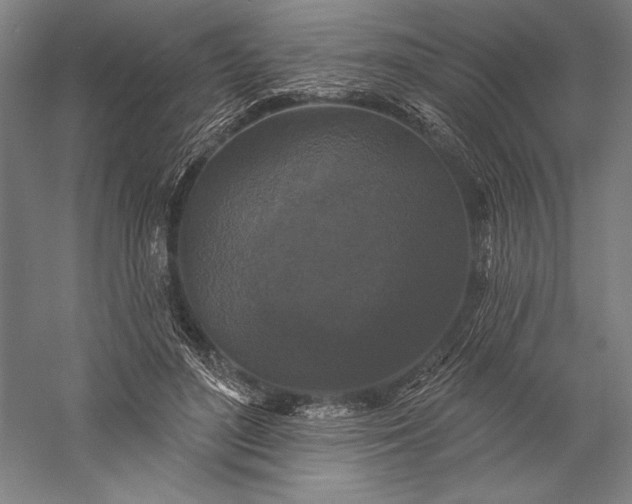 X0000056350500200509091600