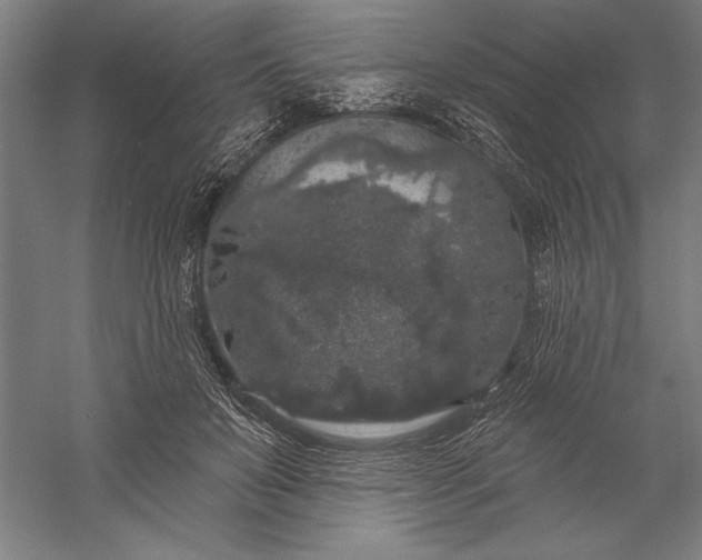 X0000056350503200509091600