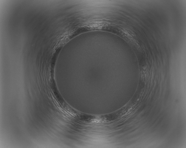 X0000056350504200509091600