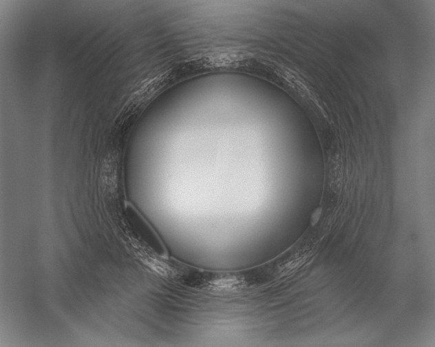 X0000056350505200509091600