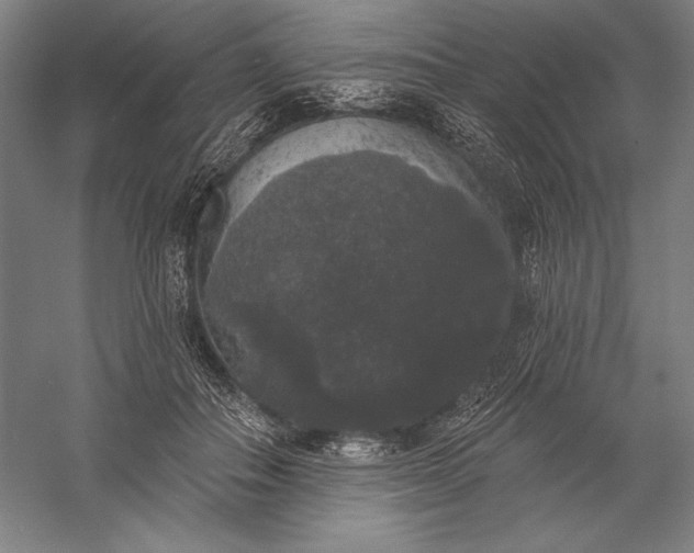 X0000056350506200509091600