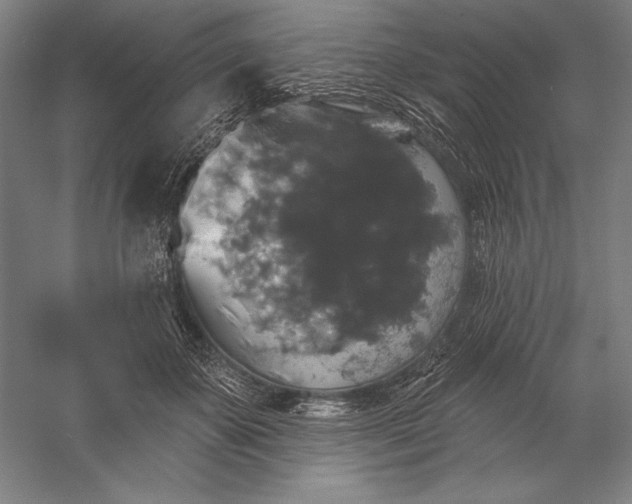 X0000056350507200509091600