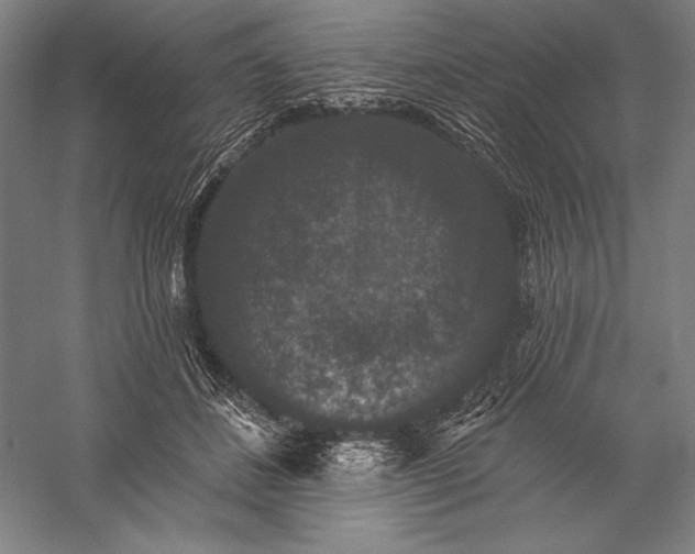 X0000056350508200509091600