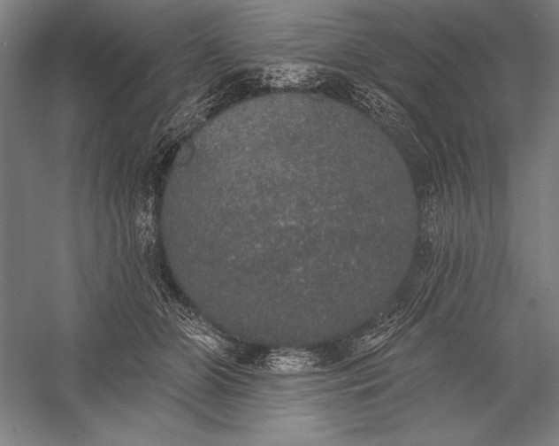 X0000056350510200509091600