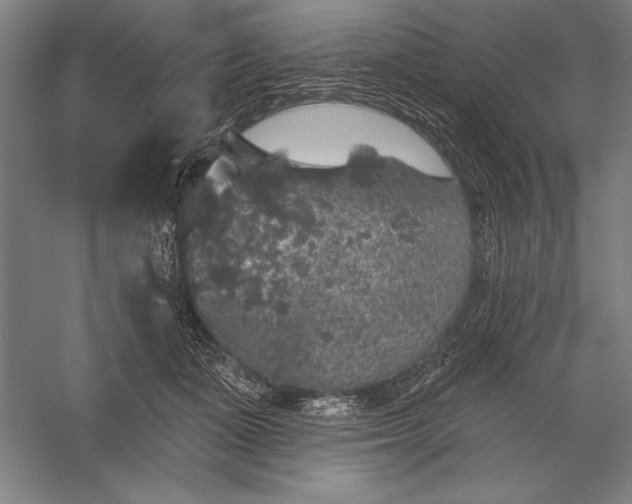 X0000056350511200509091600