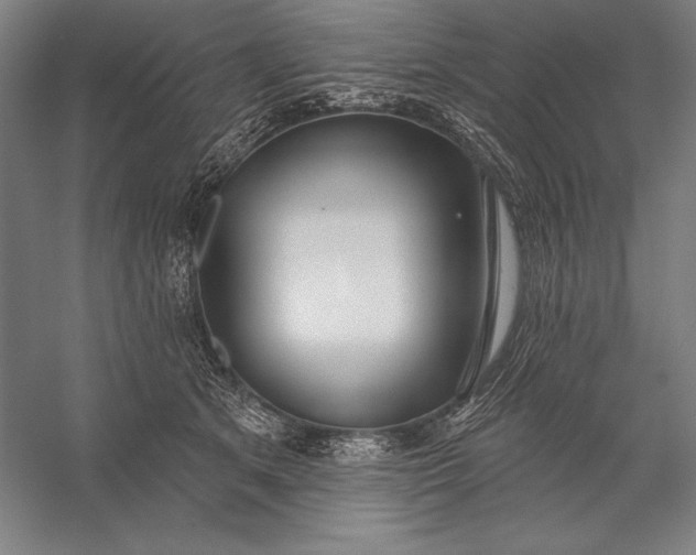 X0000056350513200509091600