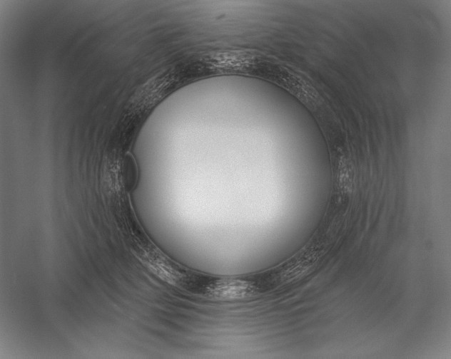 X0000056350514200509091600