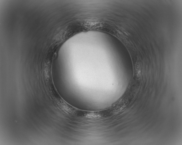 X0000056350515200509091600