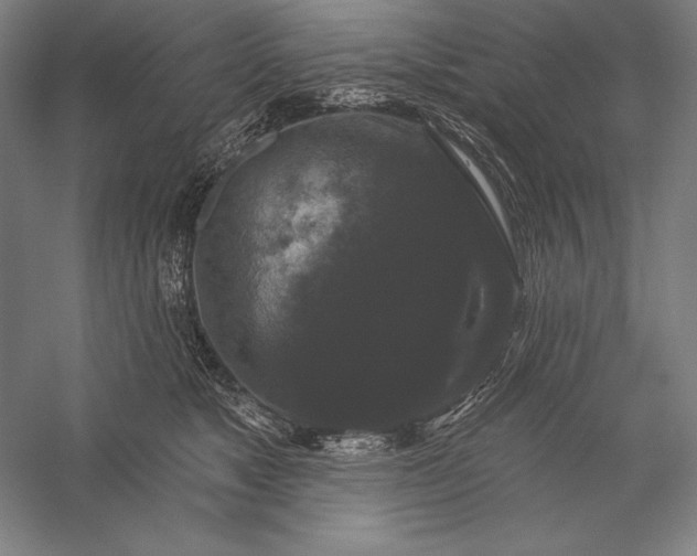 X0000056350517200509091600