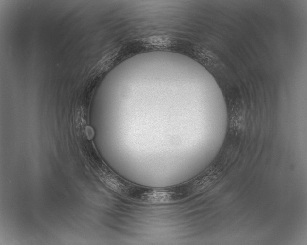 X0000056350518200509091600