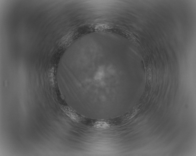 X0000056350519200509091600