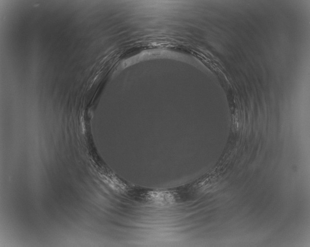 X0000056350520200509091600