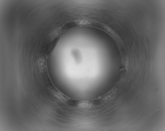 X0000056350521200509091559