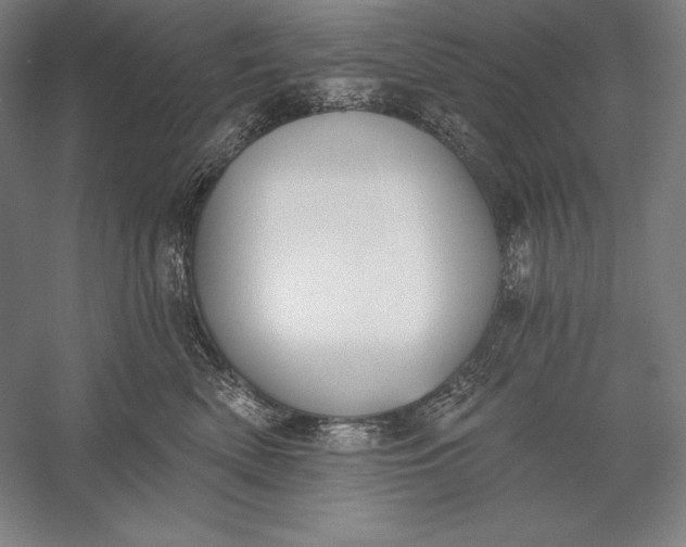 X0000056350522200509091559