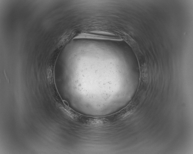 X0000056350523200509091559