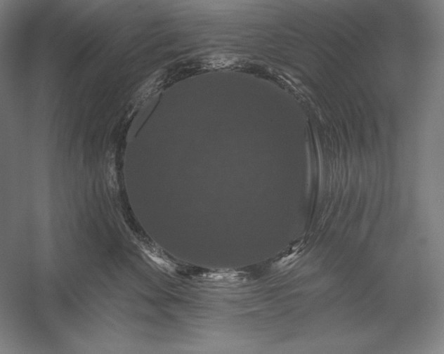 X0000056350524200509091559