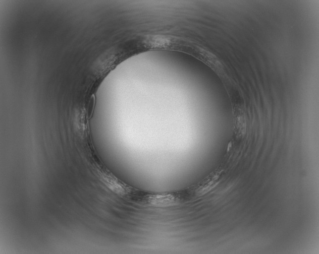 X0000056350525200509091559