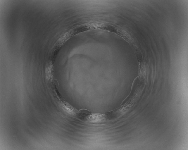 X0000056350526200509091559