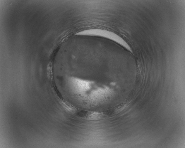 X0000056350527200509091559