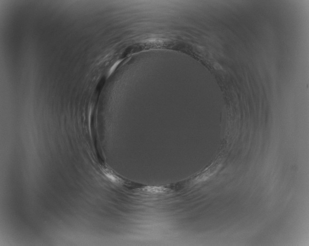 X0000056350528200509091559