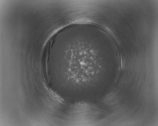 X0000056350531200509091559