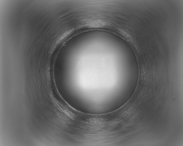 X0000056350535200509091559