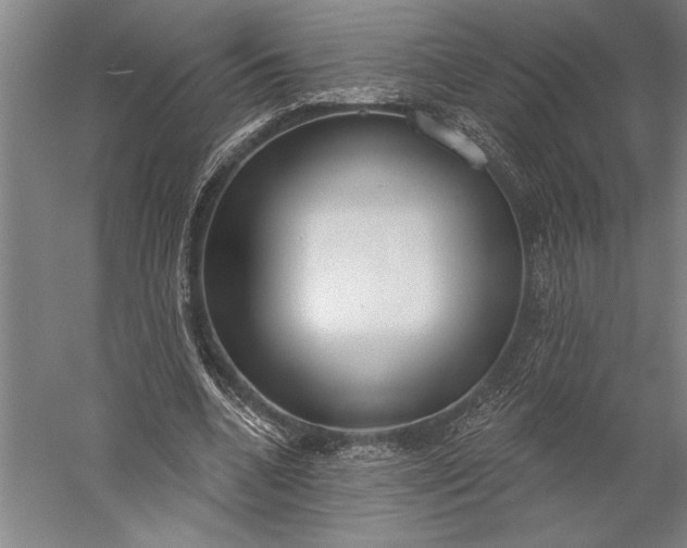 X0000056350536200509091559