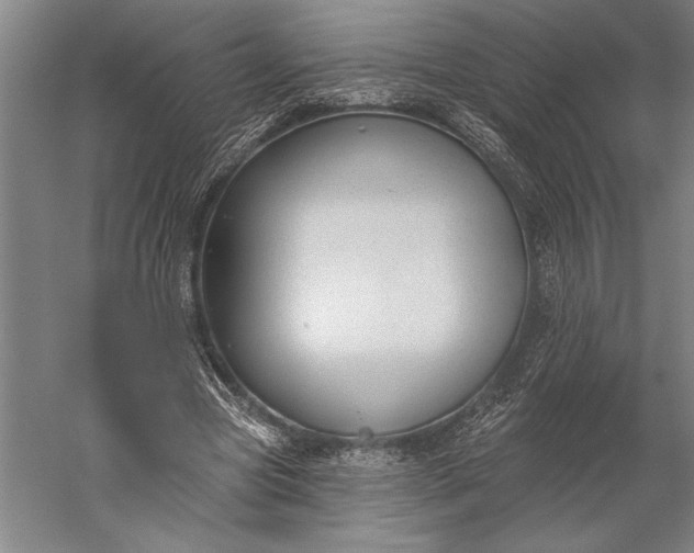 X0000056350537200509091559