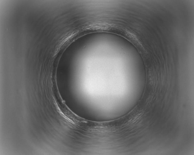 X0000056350538200509091559