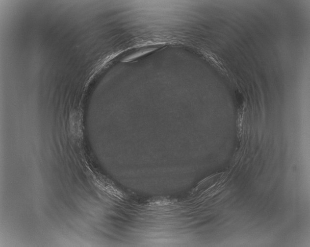 X0000056350540200509091559