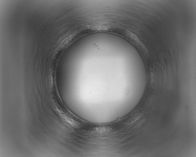 X0000056350541200509091559