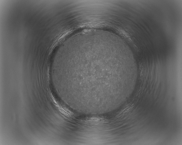 X0000056350542200509091559