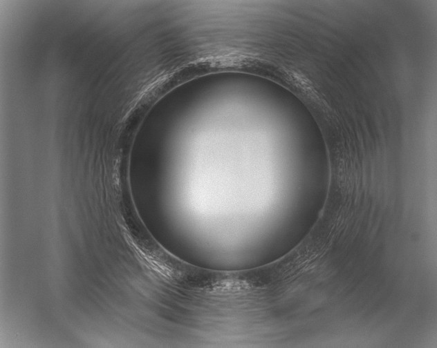 X0000056350543200509091559