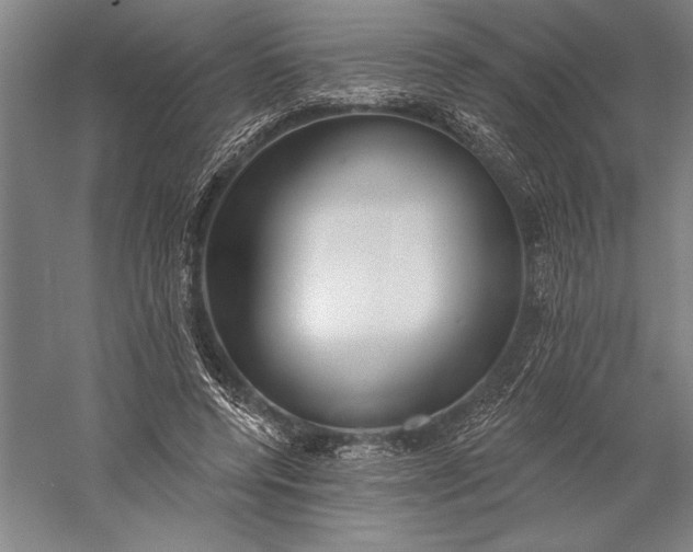 X0000056350544200509091559