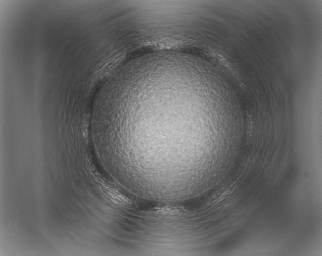 X0000056350545200509091559