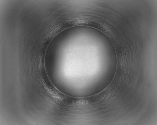 X0000056350546200509091559