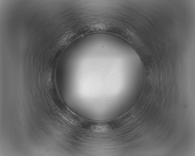 X0000056350548200509091559