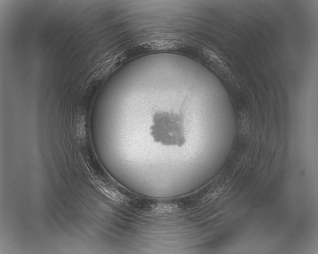 X0000056350549200509091559